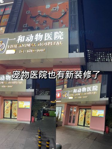 宠物医院也有新装修了