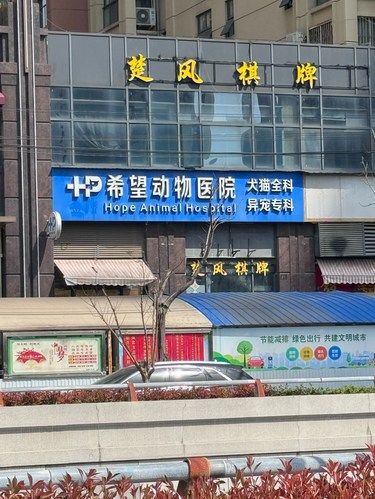 这家连锁的毛孩子温馨小站，我安利给大家
