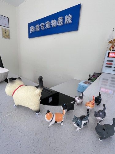 我家小宠特别喜欢来了一家店