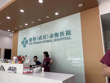 性价比天花板！平价也能给毛孩子享受到星级服务