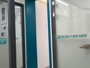 暖心治愈之旅！科道宠物医院华兽大分院