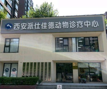 宠物医院也有新装修了