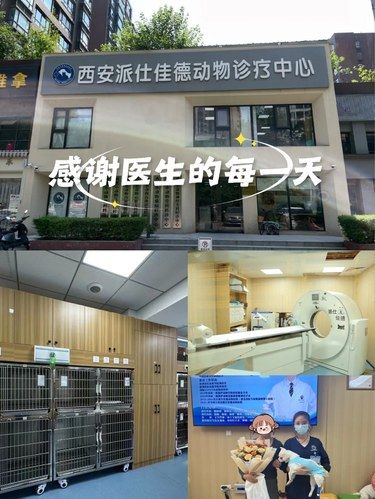 感谢医生的每一天
