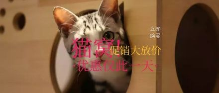 宠物猫窝狗窝促销红包公众号封面