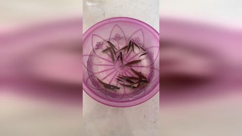 让我们为小伙的善良竖个大拇指吧。