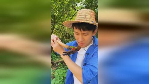 锤子也能吃？