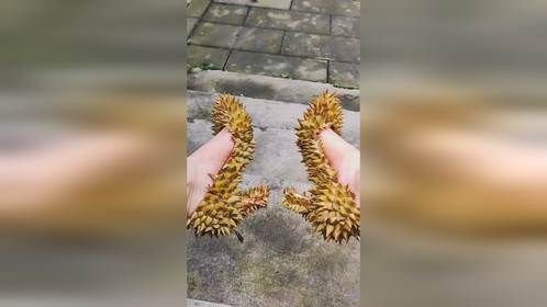 给女朋友做的榴莲鞋