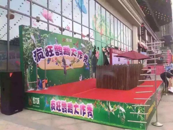 各种萌宠动物租赁 观赏鸟出租百鸟表演主题展览