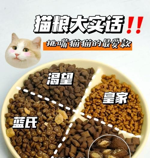 宠物猫的饮食中哪种猫粮最为理想？
