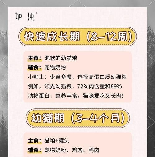 宠物猫是否应只吃猫粮？正确的喂养方法是什么？