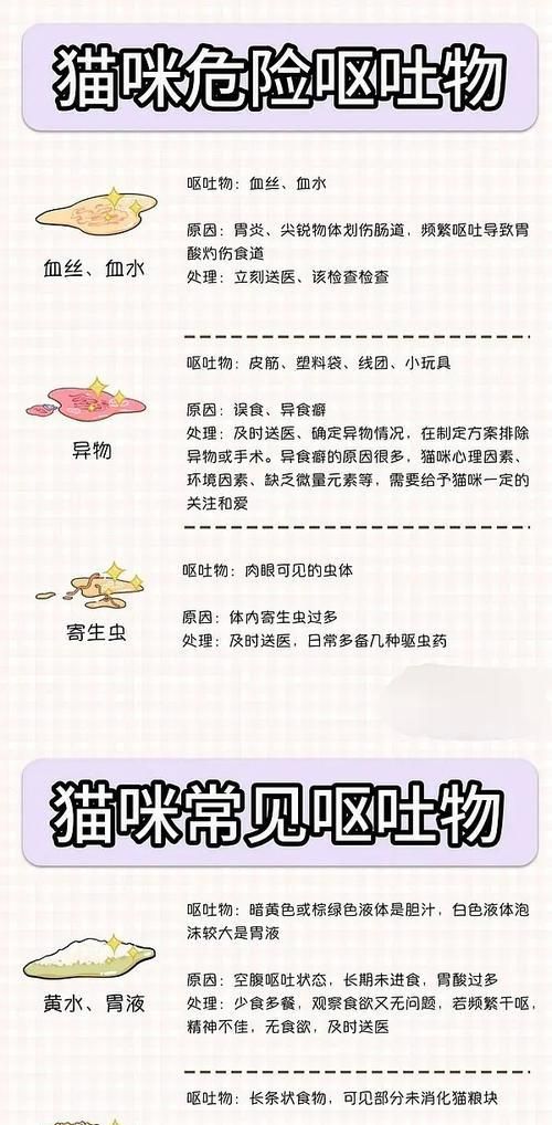 宠物猫是否应只吃猫粮？正确的喂养方法是什么？