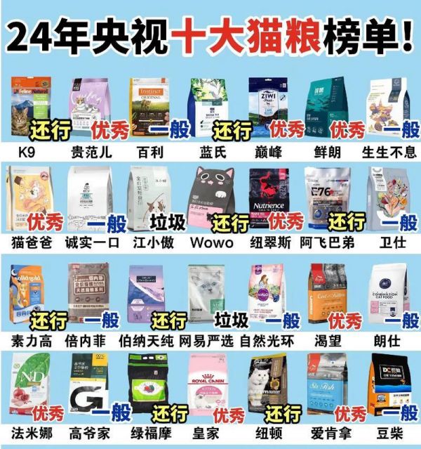 除了猫粮还能喂猫什么？养猫喂食的其他选择有哪些？