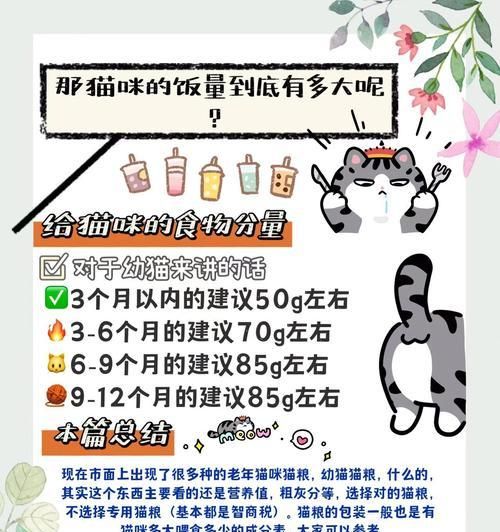 如何合理安排猫咪一天的猫粮喂食？