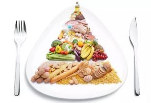 科学喂肉末，宠物饮食有讲究。
