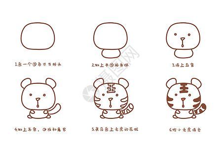 野生动物老虎小老虎简笔画步骤插画