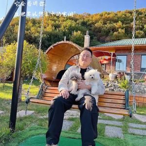 延吉市金宝宠物店（泰迪、比熊、泰迪熊）头像