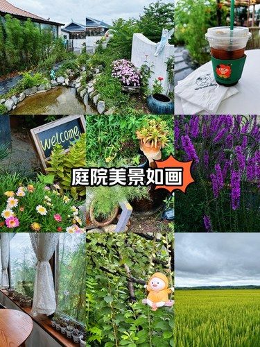 庭院美景如画