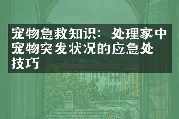宠物急救知识：处理家中宠物突发状况的应急处理技巧