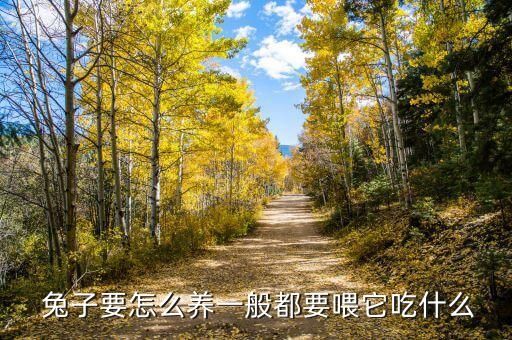  兔子要怎么养一般都要喂它吃什么