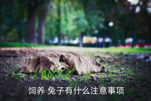  饲养 兔子有什么注意事项
