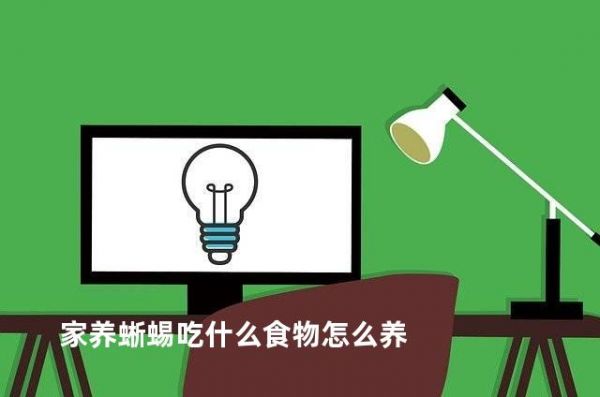 家养蜥蜴吃什么食物怎么养