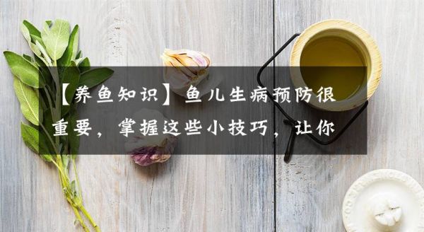 【养鱼知识】鱼儿生病预防很重要，掌握这些小技巧，让你养鱼不再难文章配图