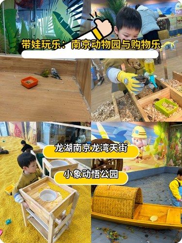 亲子乐趣时间