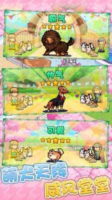 开罗发现狗狗乐园最新版
