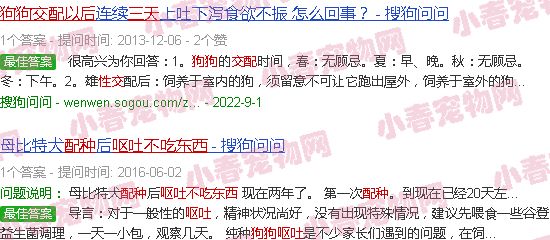 狗狗配种三天之后不吃东西还吐了