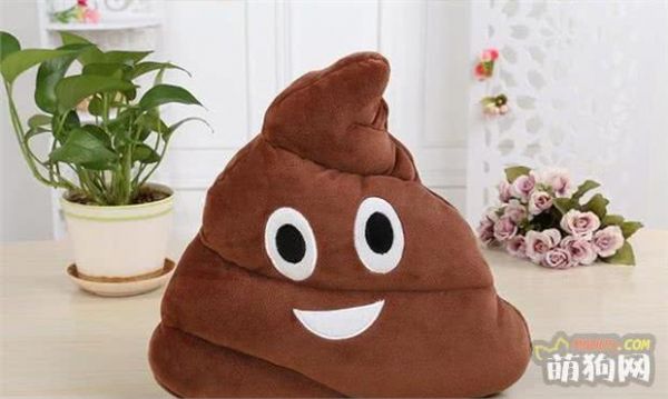 狗狗这样喂食才正确，这些小秘密你都知道吗？