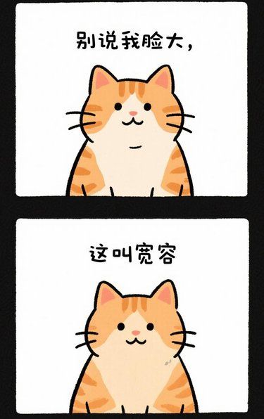 脸大容四方