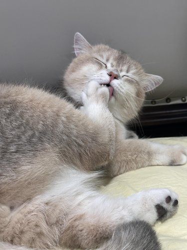 谁是最爱干净的宝宝