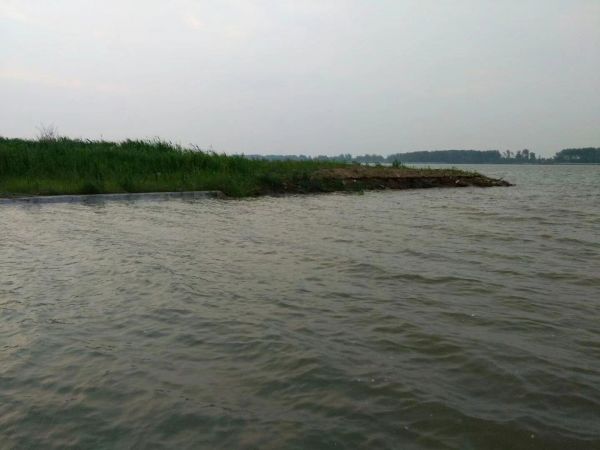 乌龟比赛故事，策划一场别开生面的乌龟赛跑活动