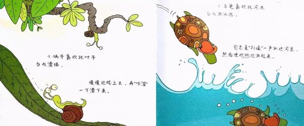 乌龟比赛故事，策划一场别开生面的乌龟赛跑活动
