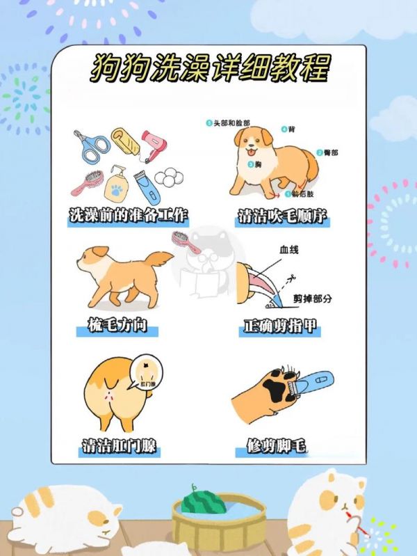 如何帮狗狗进行洗澡