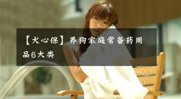 【犬心保】养狗家庭常备药用品6大类文章配图