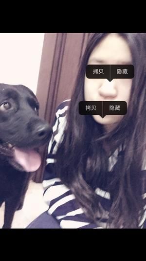 狗狗生日蛋糕(临时版)的做法 步骤3