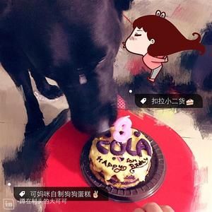 狗狗生日蛋糕(临时版)的做法 步骤5