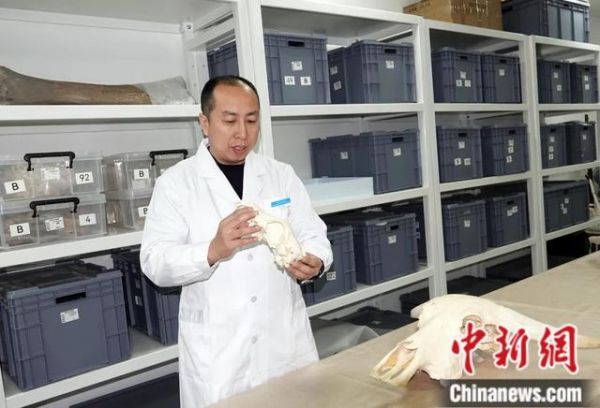 吕鹏在实验室接受采访。中新社记者 孙自法 摄