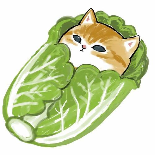 猫咪蔬菜餐,健康长寿伴