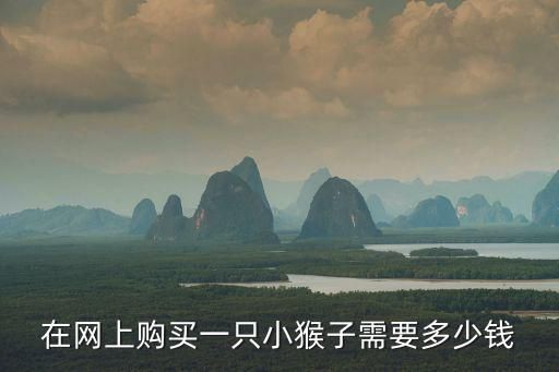 在网上购买一只小猴子需要多少钱