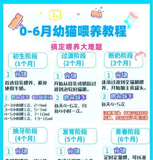 猫粮和奶粉配比表格怎么做？如何确保营养均衡？