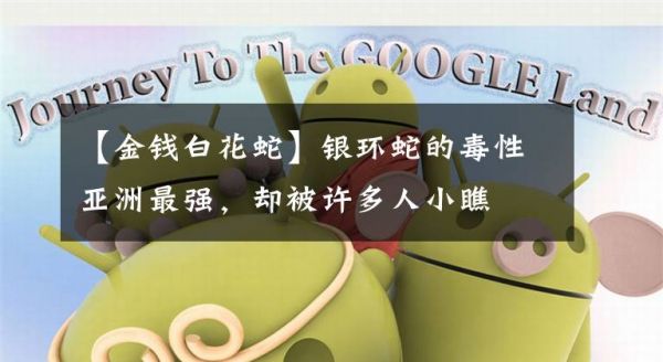 【金钱白花蛇】银环蛇的毒性亚洲最强，却被许多人小瞧