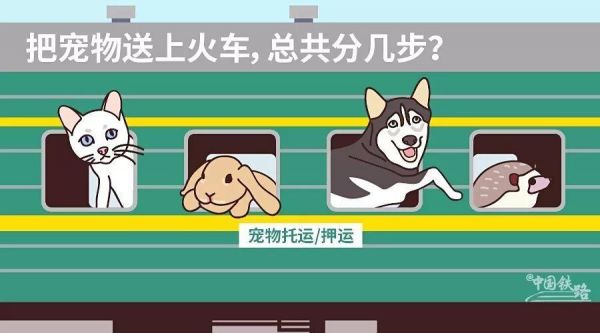 坐火车能带宠物龟吗
