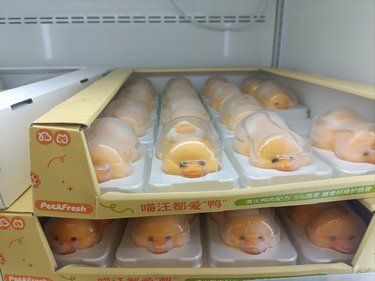 猫狗麻辣烫