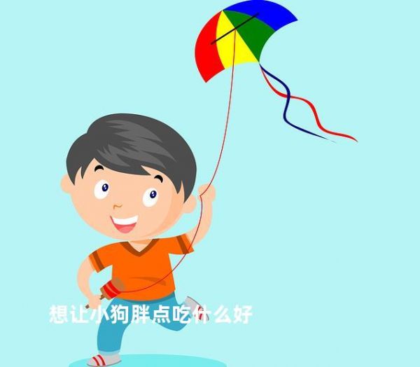 想让小狗胖点吃什么好