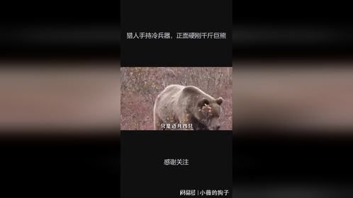 猎人手持冷兵器，正面硬刚千斤巨熊