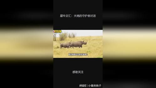 犀牛交汇：大地的守护者对话