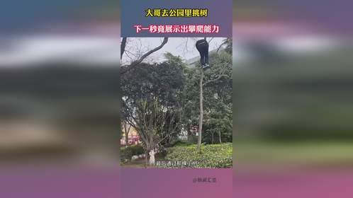 大哥去公园里挑树，下一秒竟展示出攀爬能力