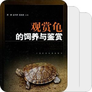 宠物